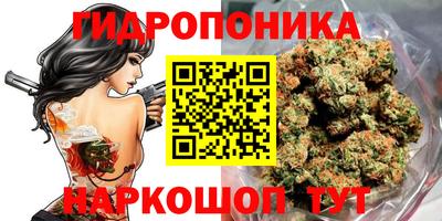 прущий лед Гатчина