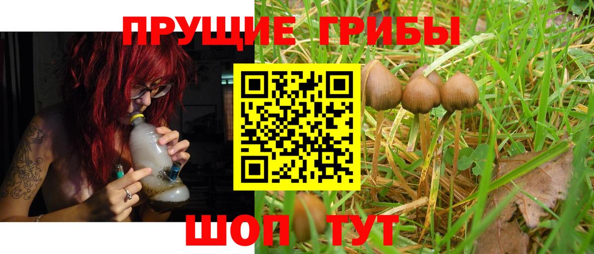 Керчь  Галлюциногенные грибы мухоморы  Псилоцибиновые грибы MAGIC MUSHROOMS  Вход с VPN 