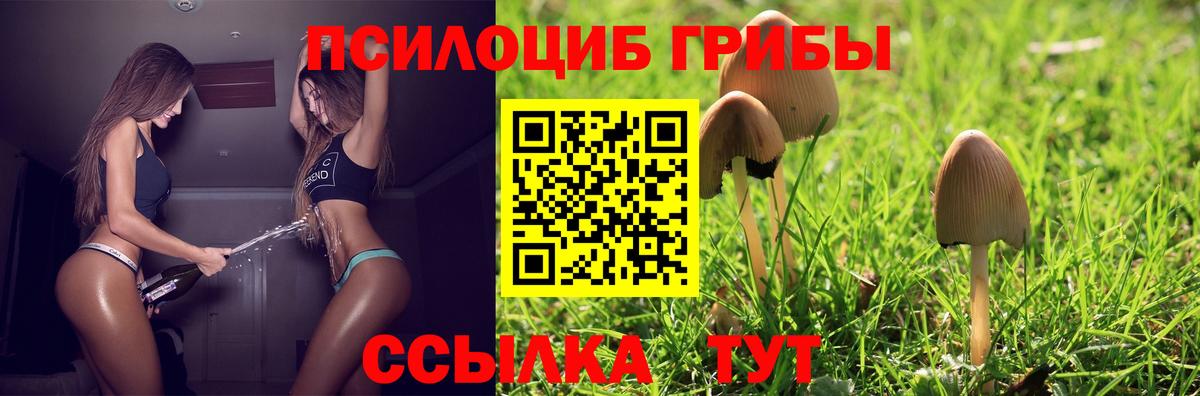 Псилоцибиновые грибы Magic Shrooms Керчь